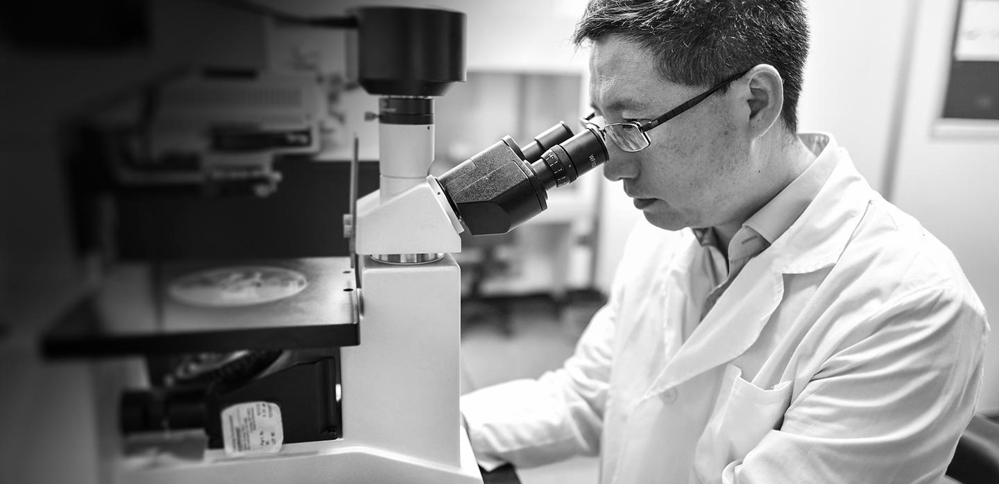 scientist looking into microscope