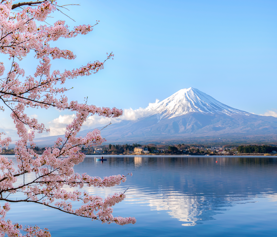 Japan IP