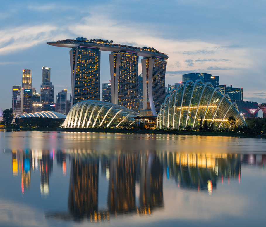 Singapore should continue support of IP