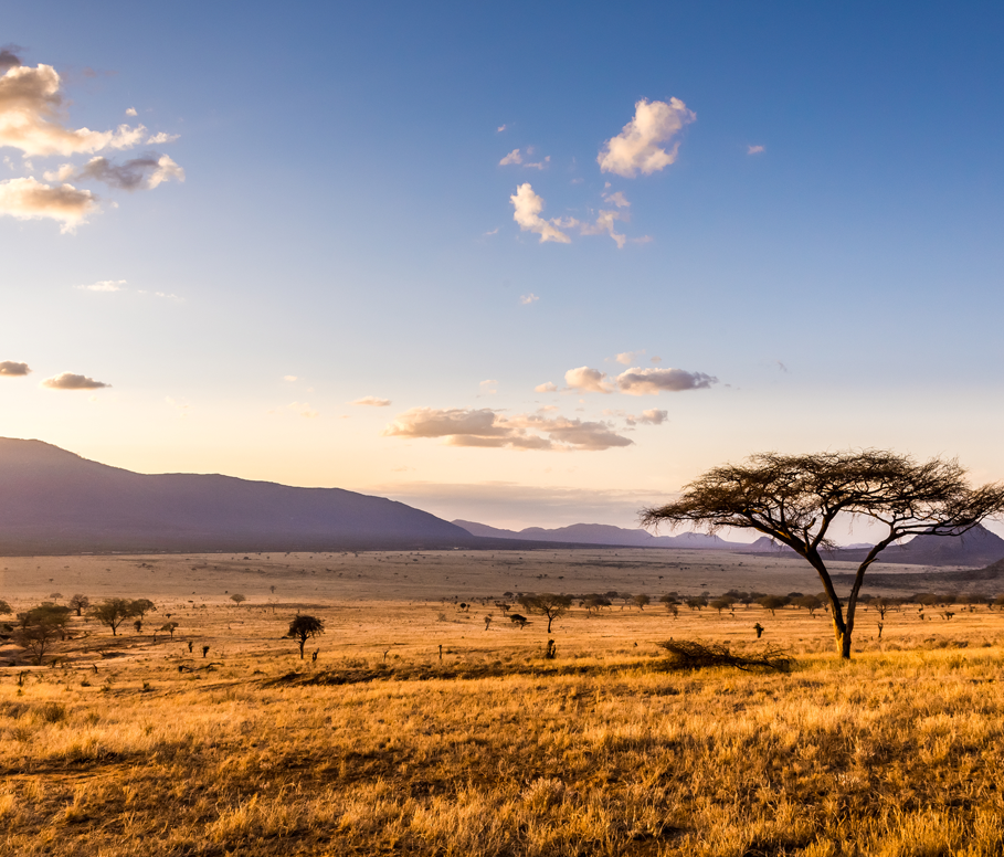 Kenya champion innovation